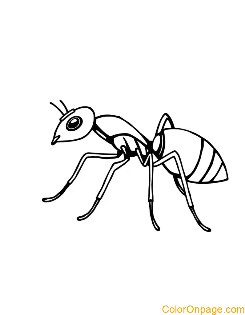 Ant Coloring Page