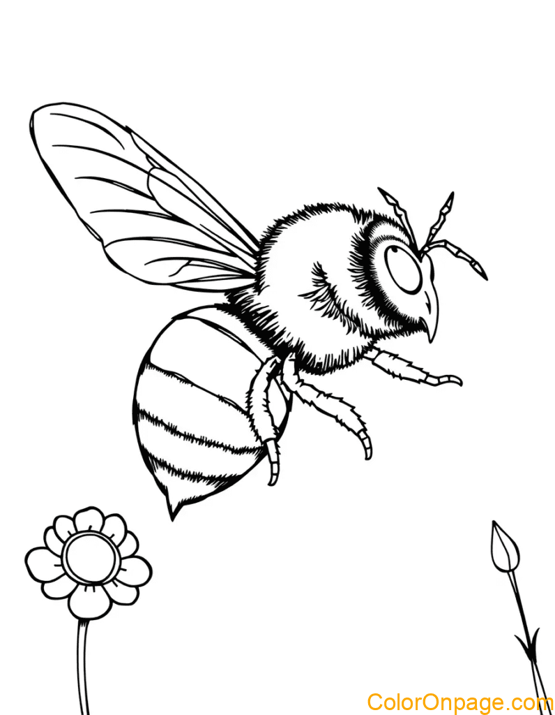 Bee Coloring Page