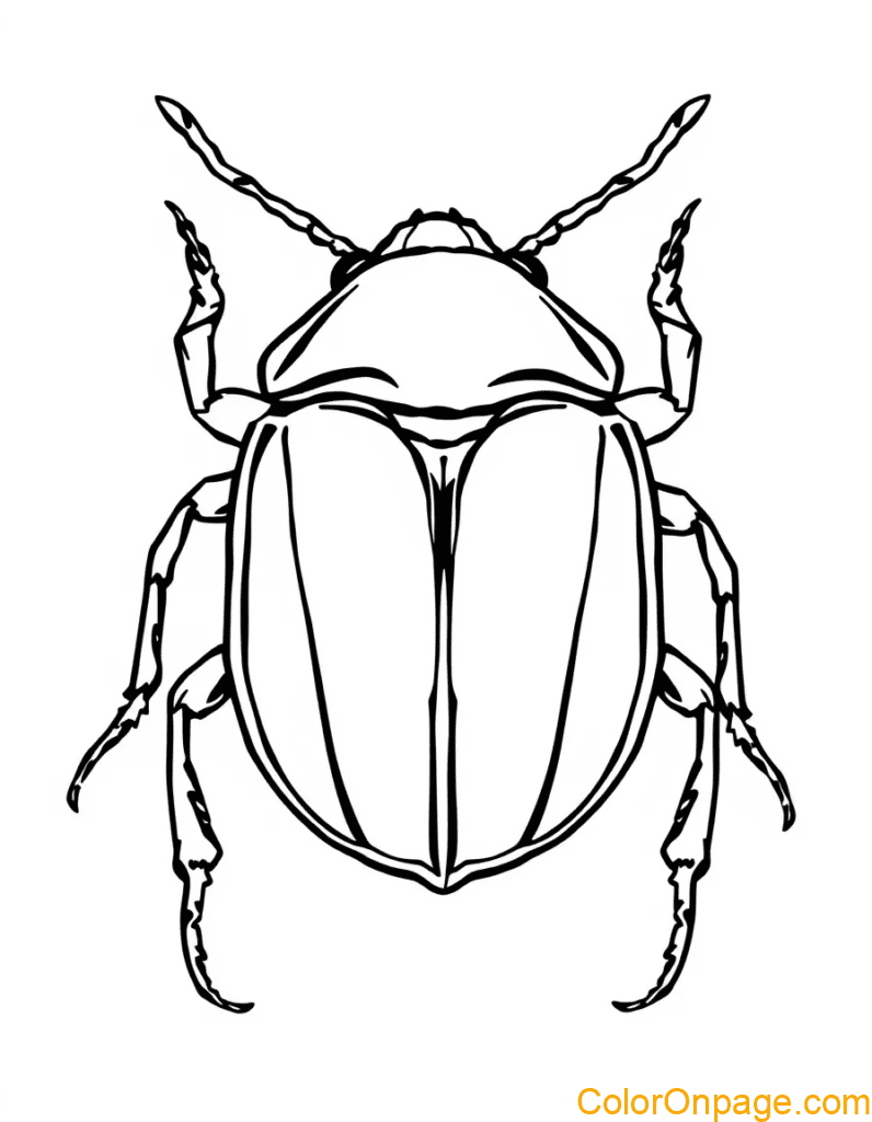 Beetle Coloring Page
