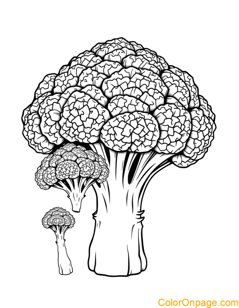 Big & Small Broccoli Coloring Page