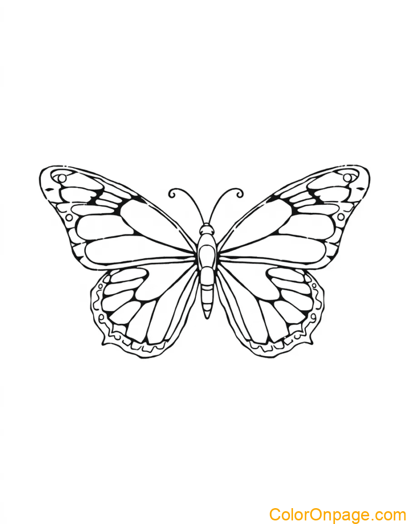 Butterfly Coloring Page