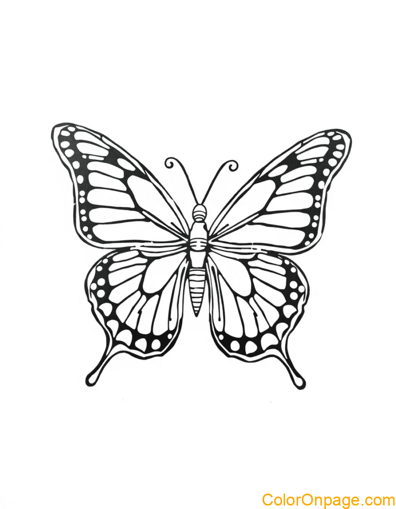 Butterfly Coloring Page