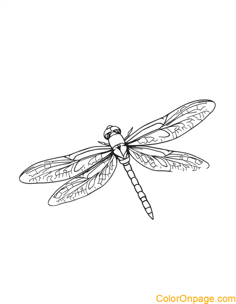 Dragonfly Coloring Page