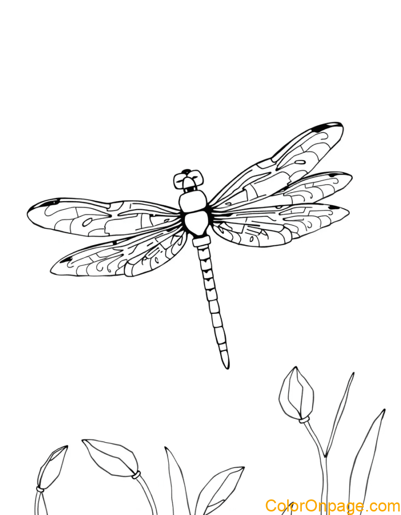 Dragonfly Coloring Page