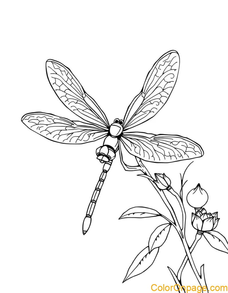 Dragonfly Coloring Page