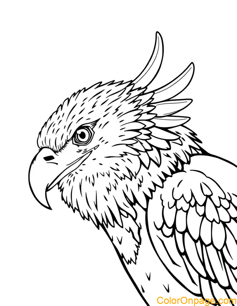 Eagle Coloring Page