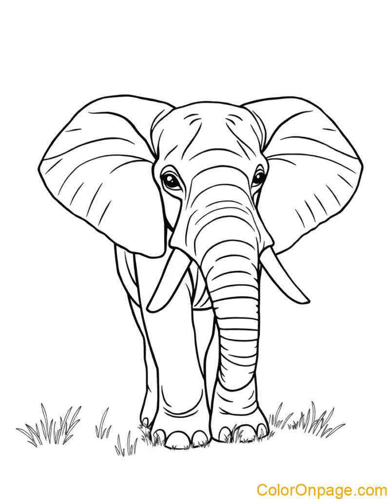 Elephant Coloring Page
