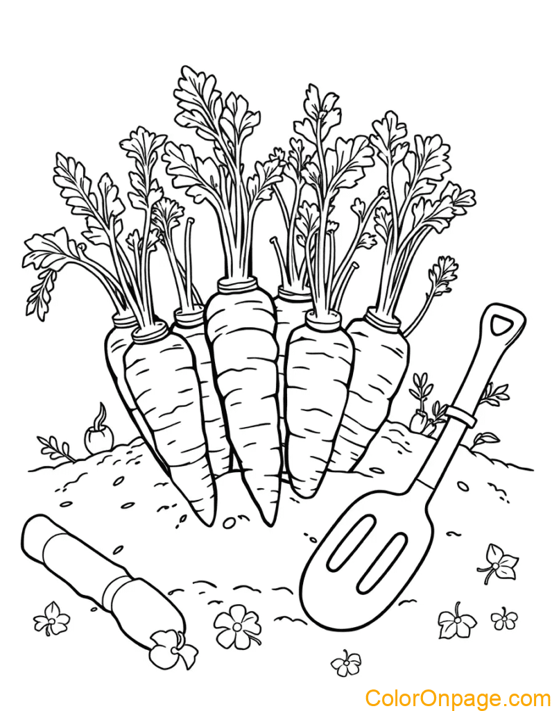 Garden Harvest Carrots Coloring Page