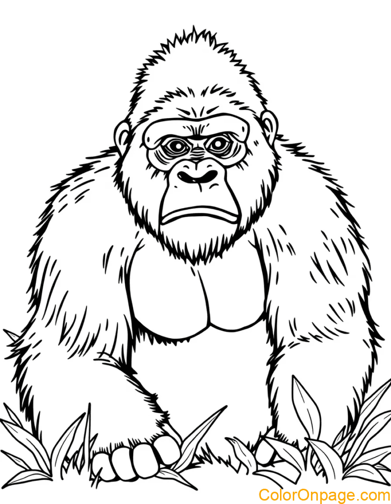 Gorilla Coloring Page
