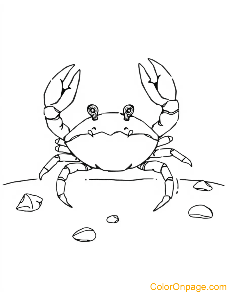 Hermit Crab Coloring Page