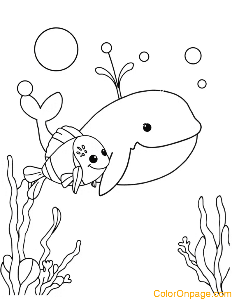 Humpback Whale Coloring Page