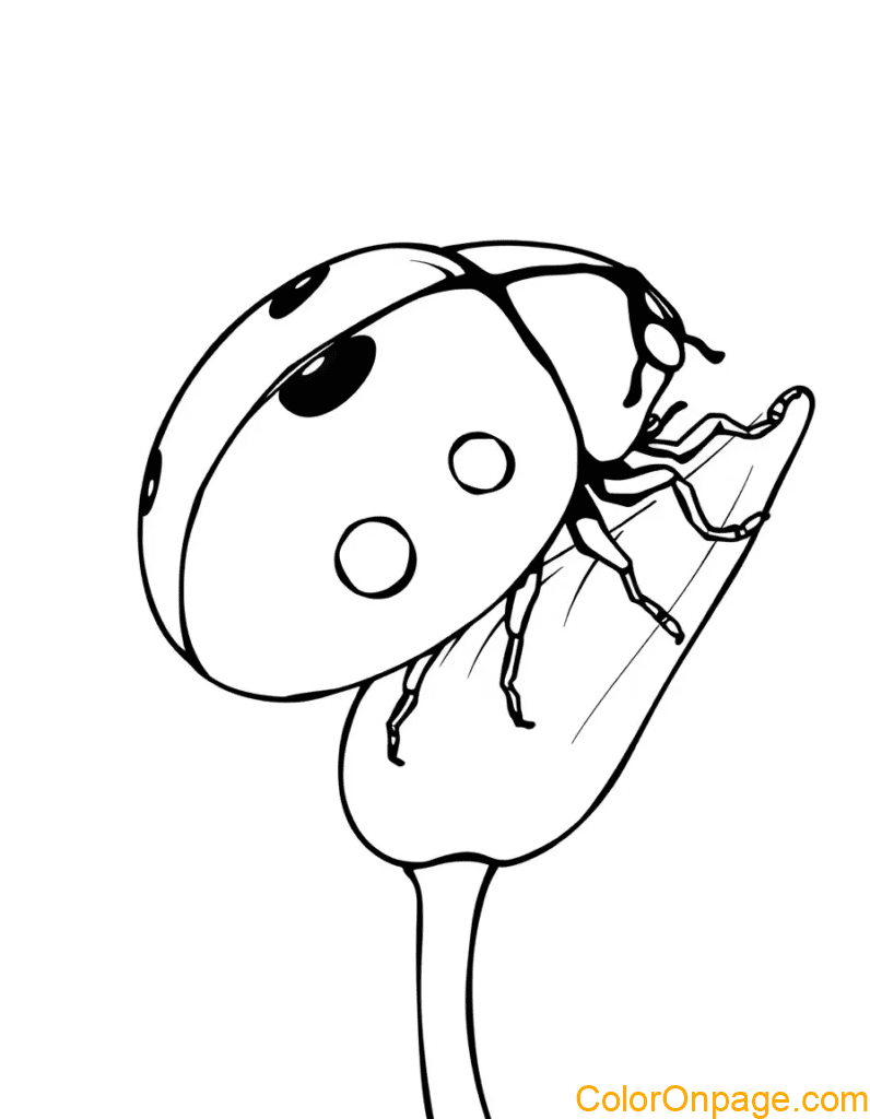 Ladybug Coloring Page