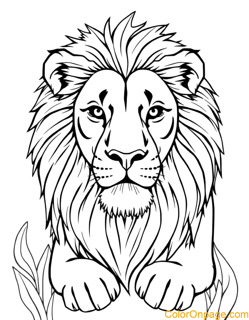 Simple Style Lion Coloring Pages (1)