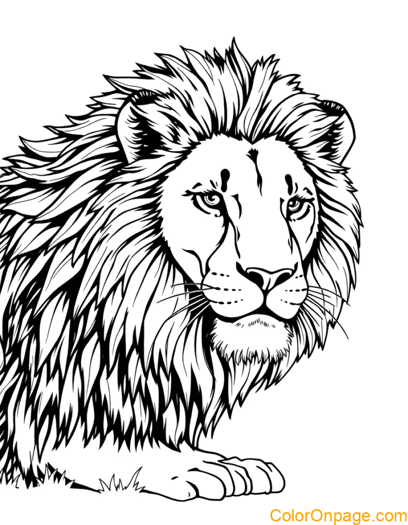 Simple Style Lion Coloring Pages (1)