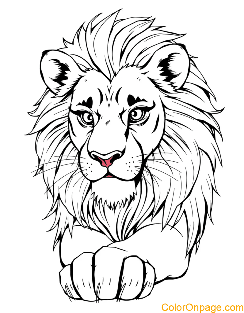 LIon colroig pages
