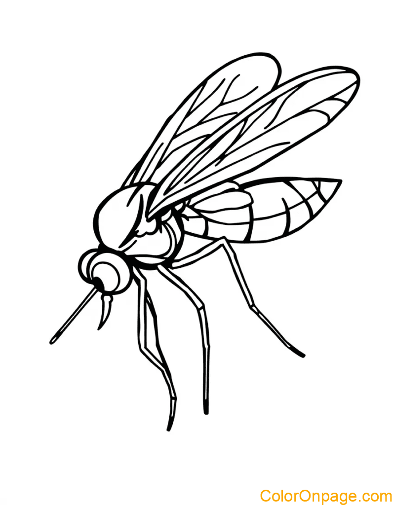 Mosquito Coloring Page