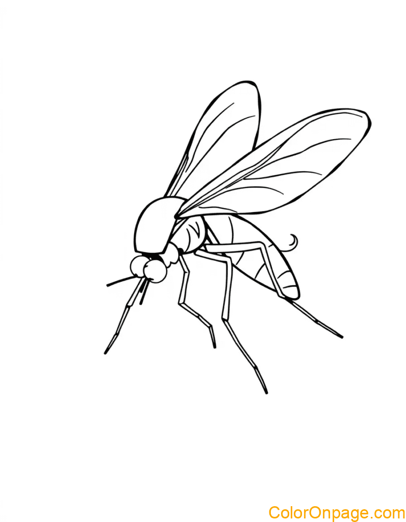 Mosquito Coloring Page