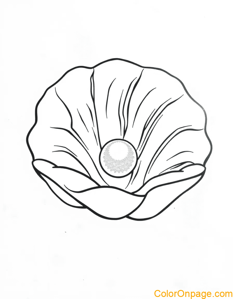 Pearl Clam Coloring Page