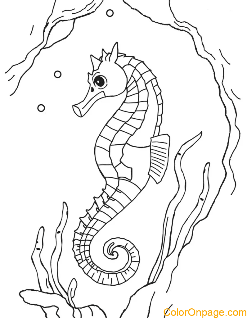 Seahorse Coloring Page