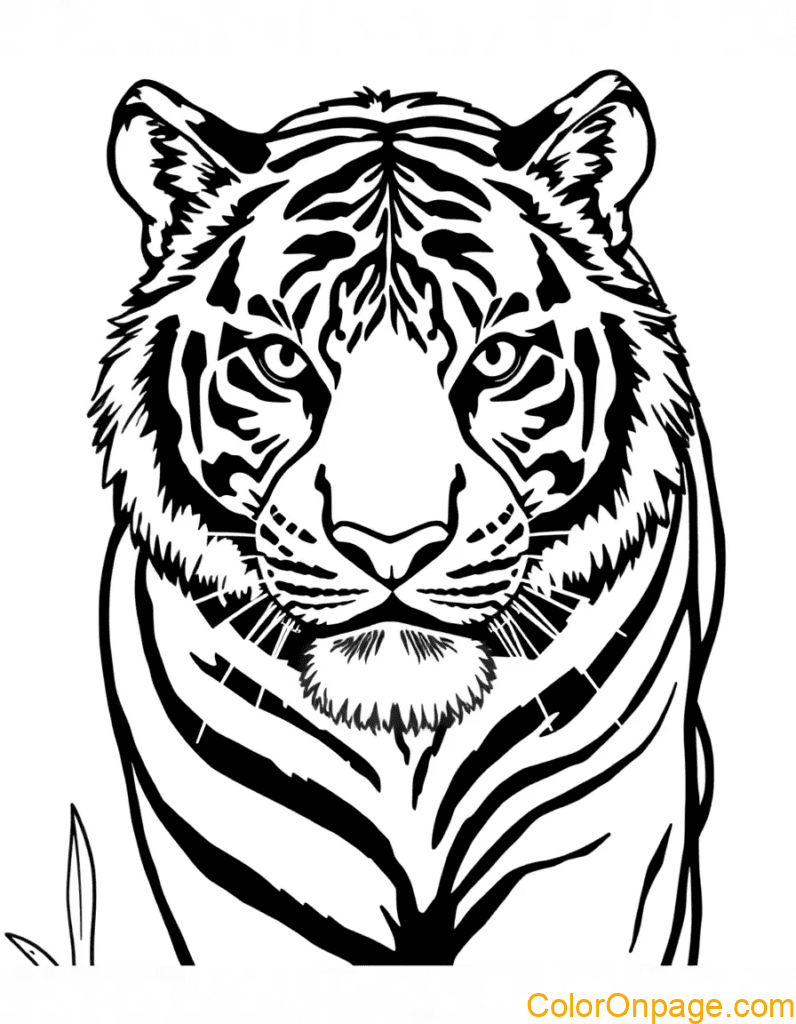 Tiger Coloring Page