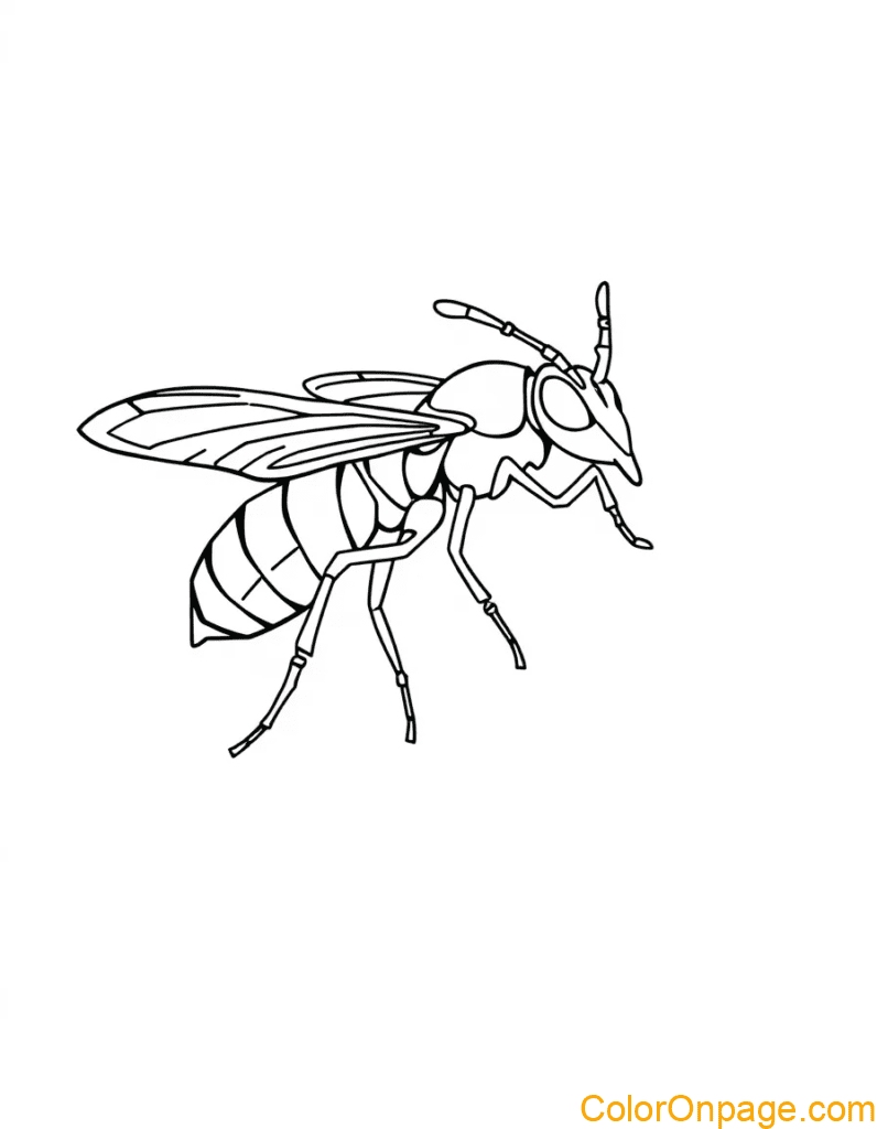 Wasp Coloring Page