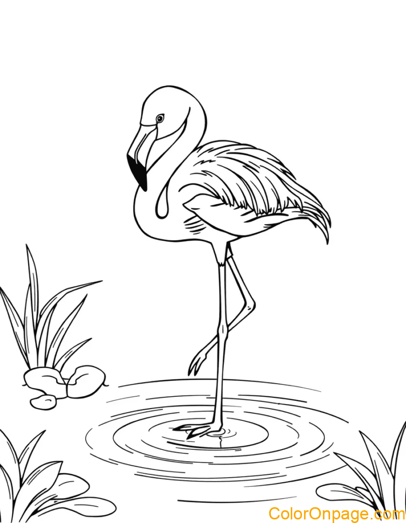 flamingo-filter-coloring-page