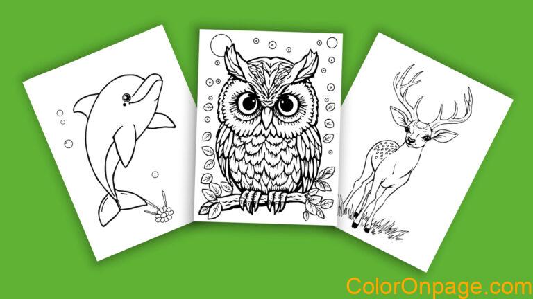 10 Cute Animal Coloring Pages