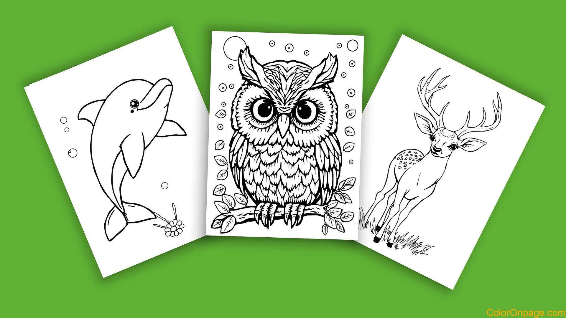 10 Cute Animal Coloring Pages