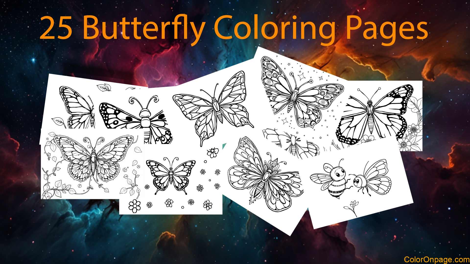 25 Beautiful Butterfly Coloring Pages Free PDF Download