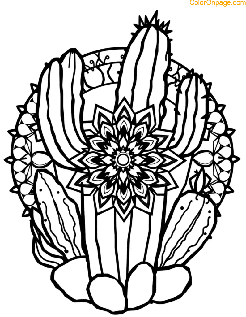 Cactus Mandala Coloring Page