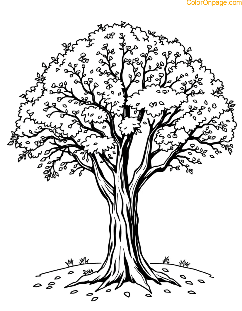 Four Seasons Tree Coloring Page