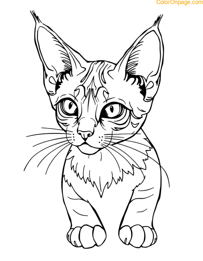 Sphinx Cat Coloring Page