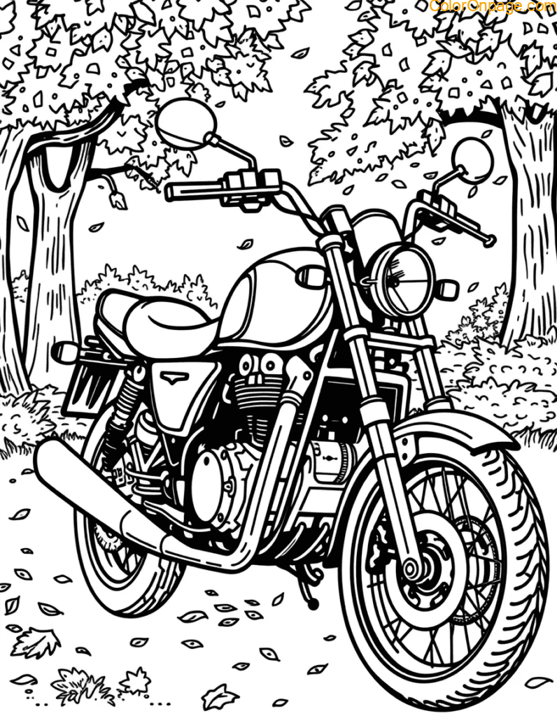 autumn-motorcycle-leaves.jpg