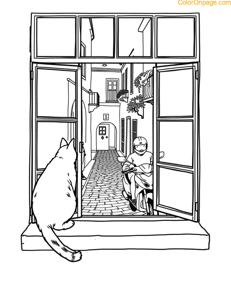 cat-window-bike-view.jpg