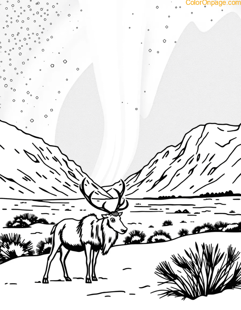 iceland-northern-lights-reindeer-coloring-page