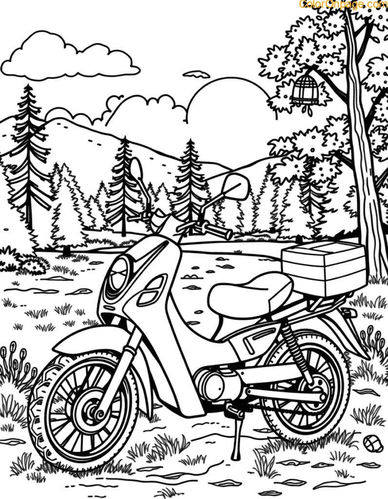 picnic-vintage-motorcycle.jpg