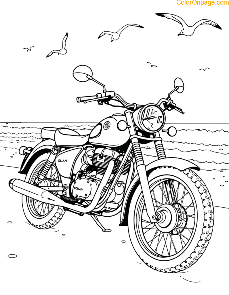 vintage-bike-beachside.jpg